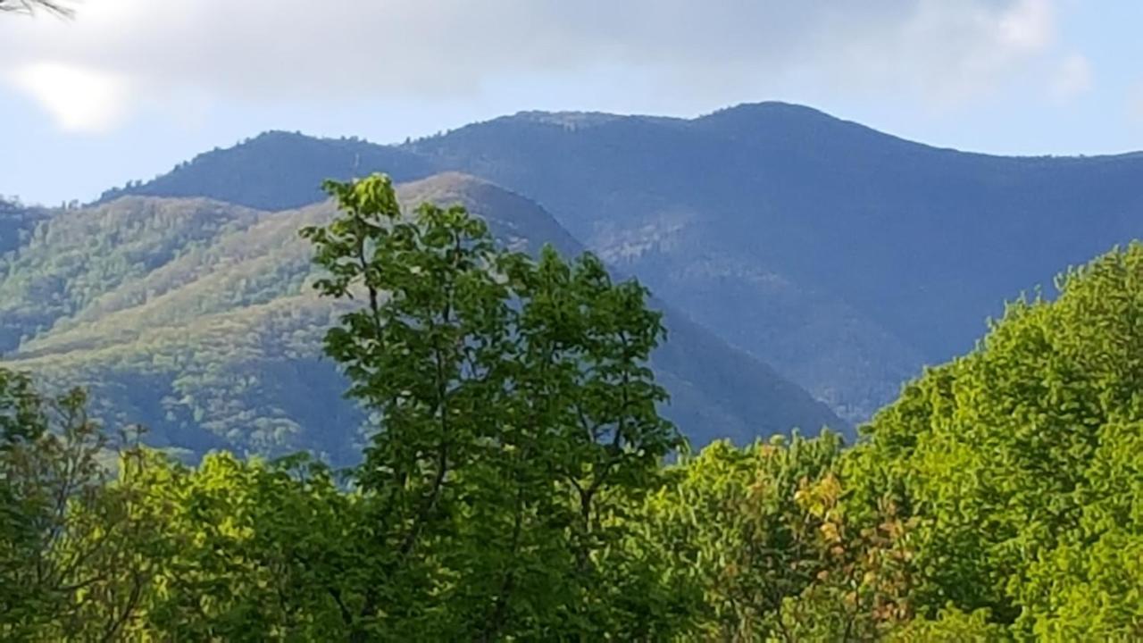 Mountain Serenity Gatlinburg Exteriér fotografie